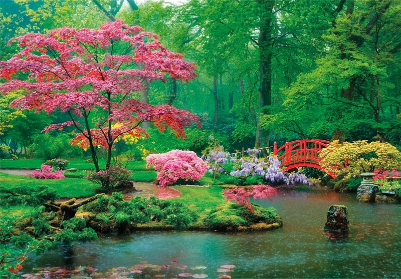 Clementoni Puzzle 500 db Peace Puzzle - Raindrops Lullaby