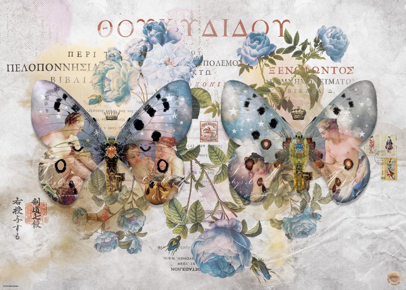 HEYE Puzzle 1000 db - Wings No. 2