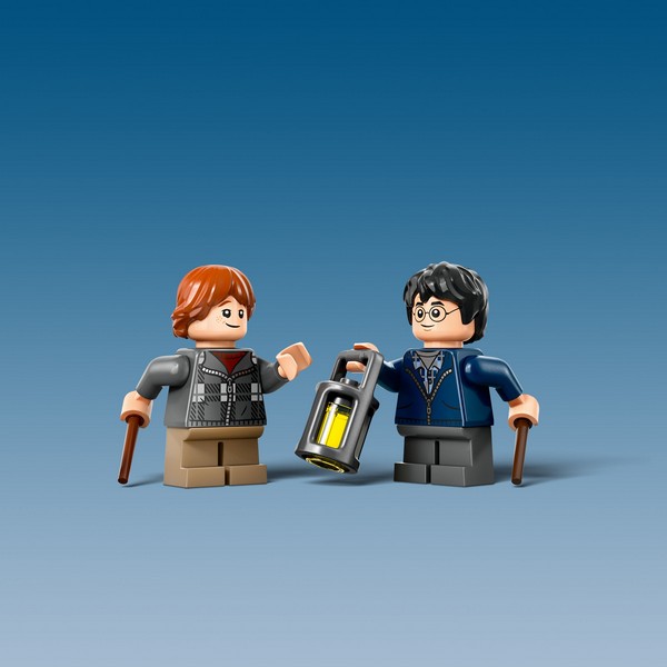 LEGO Harry Potter 76434 Aragog A Tiltott Rengetegben™
