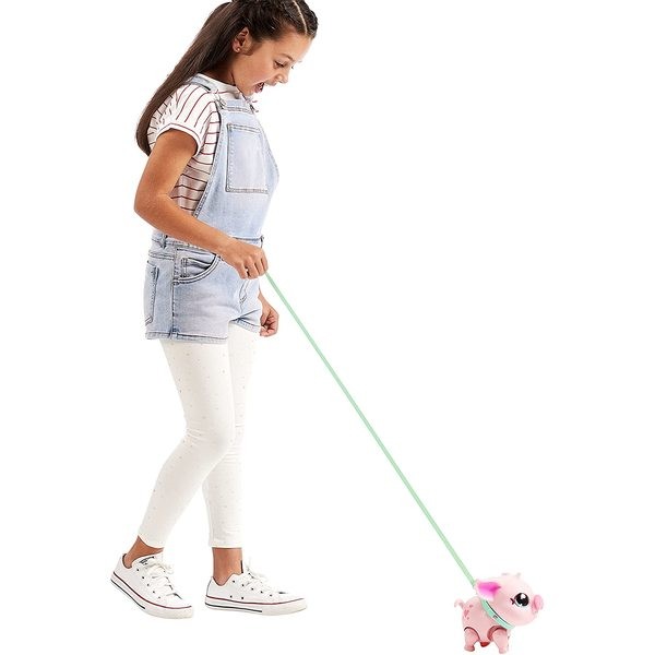 Little Live Pets Pinki, a Kismalac