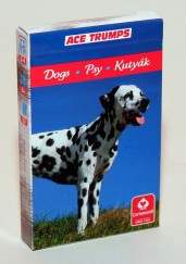 4 az 1-Ben Kedvenceink kártya A Kutyák