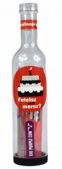 Felelsz vagy mersz? - Szülinapi buli