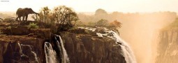 Heye puzzle 1000 db - Elephant (Alexander von Humboldt)