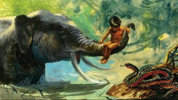 Diafilm - Maugli, A Farkasok Fia