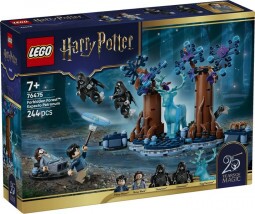 LEGO Harry Potter 76475 A Tiltott Rengeteg: Expecto Patronum