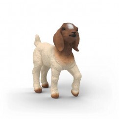 Schleich 14930 Búrkecske Gida
